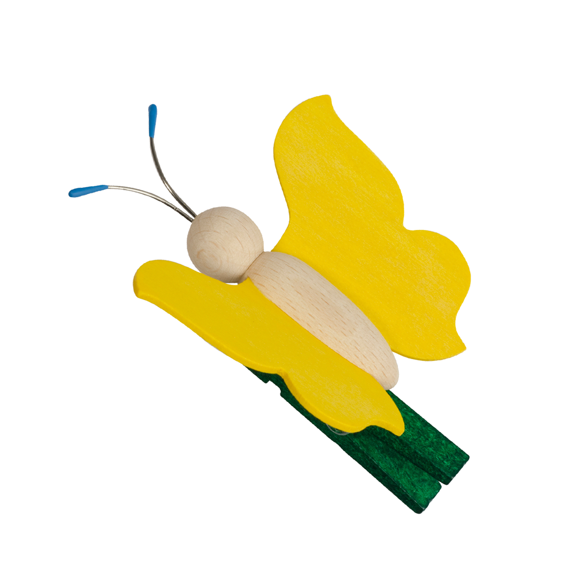 Baumclipser Schmetterling groß, gelb