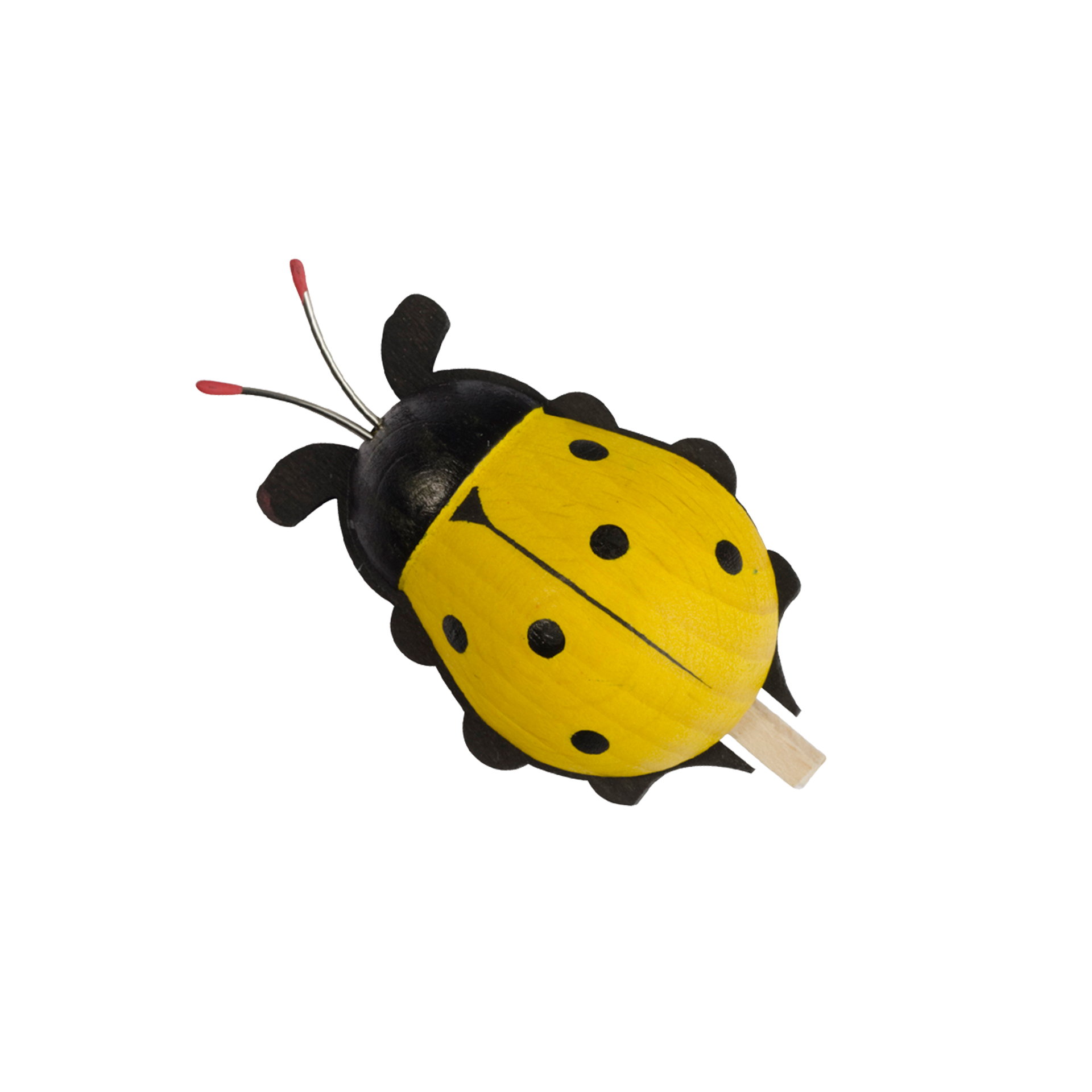 Baumclipser Käfer, gelb