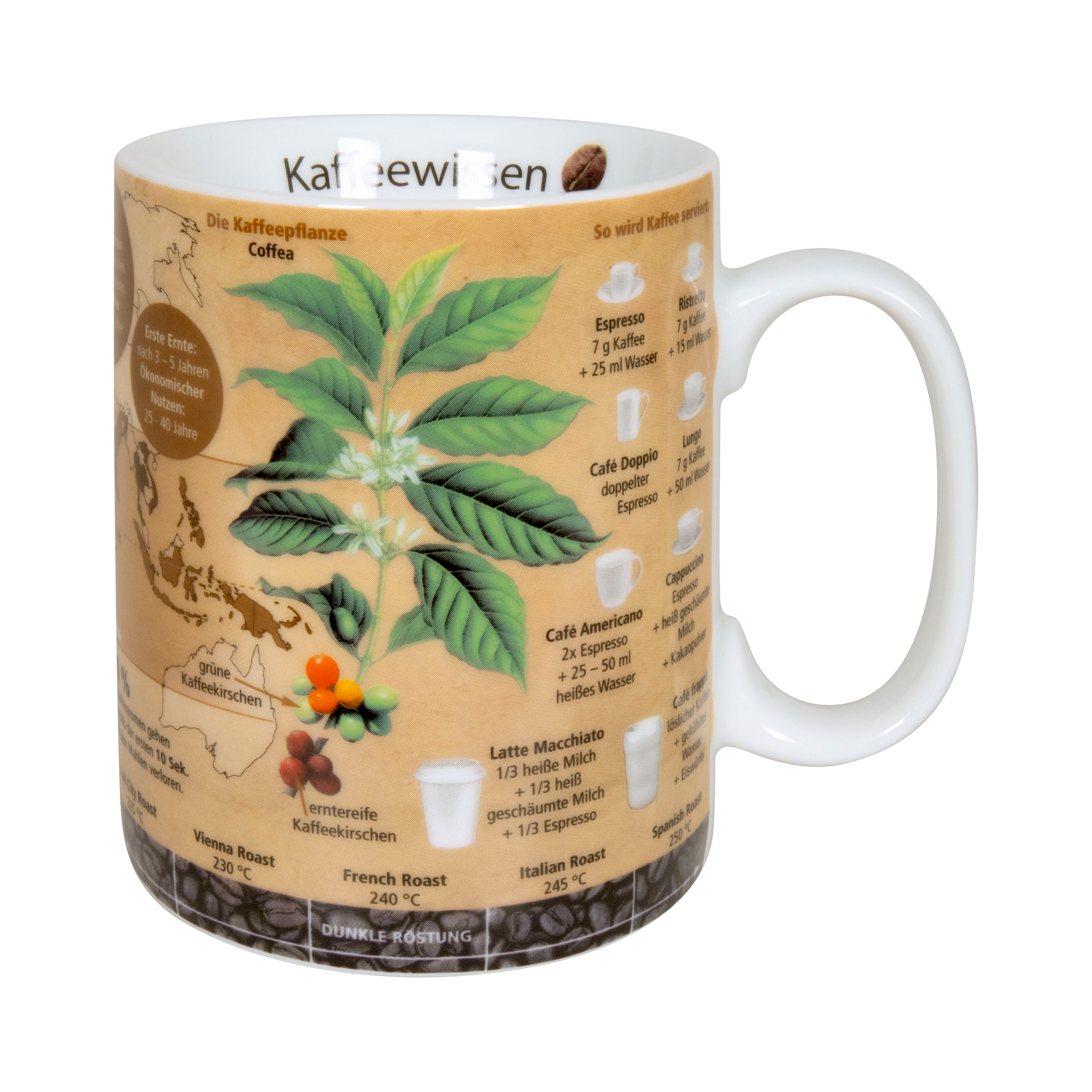 Porzellantasse "Wissensbecher Kaffee"