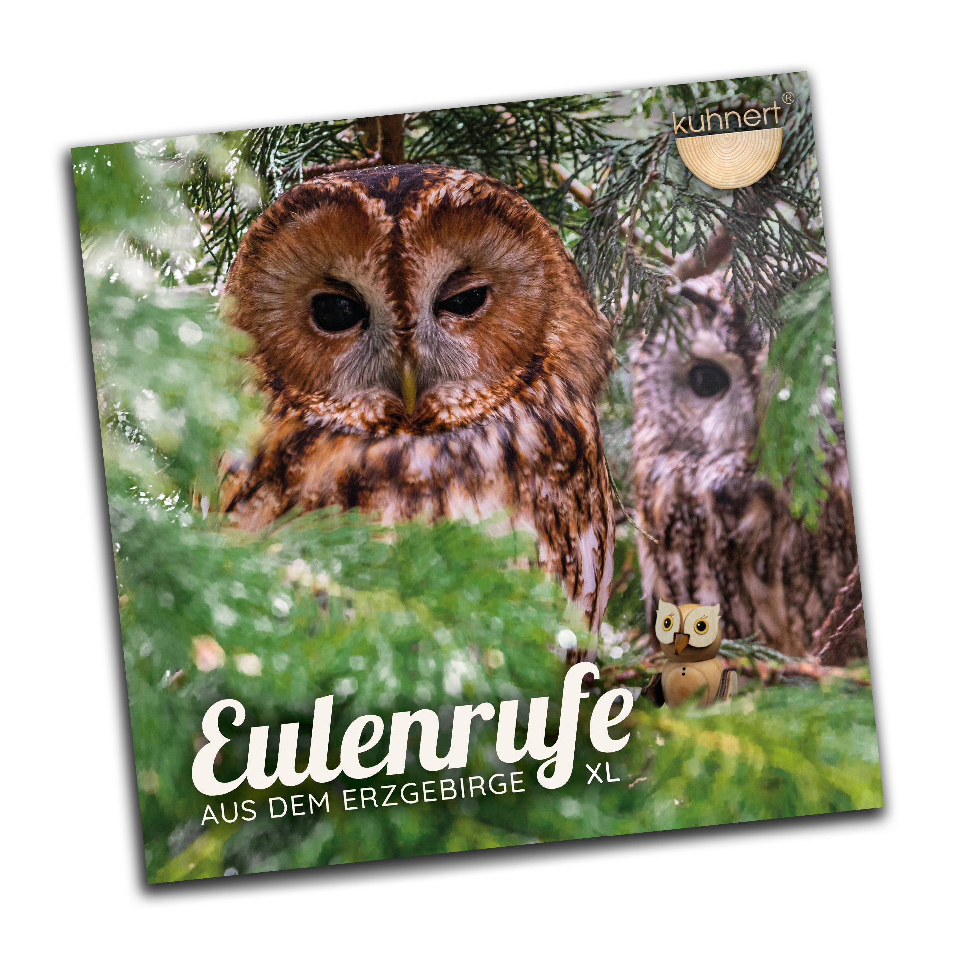 Broschüre "Eulenrufe aus dem Erzgebirge" XL