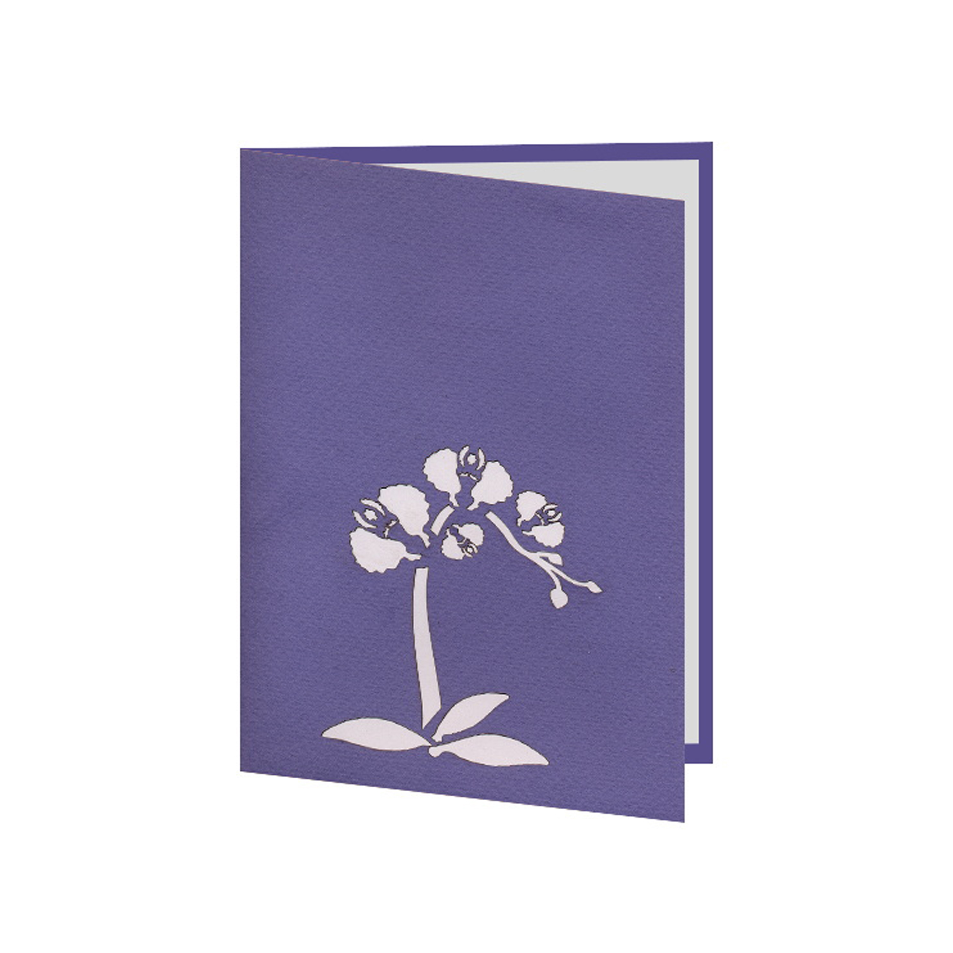 3D-Karte Orchidee 3D-Karte Orchidee