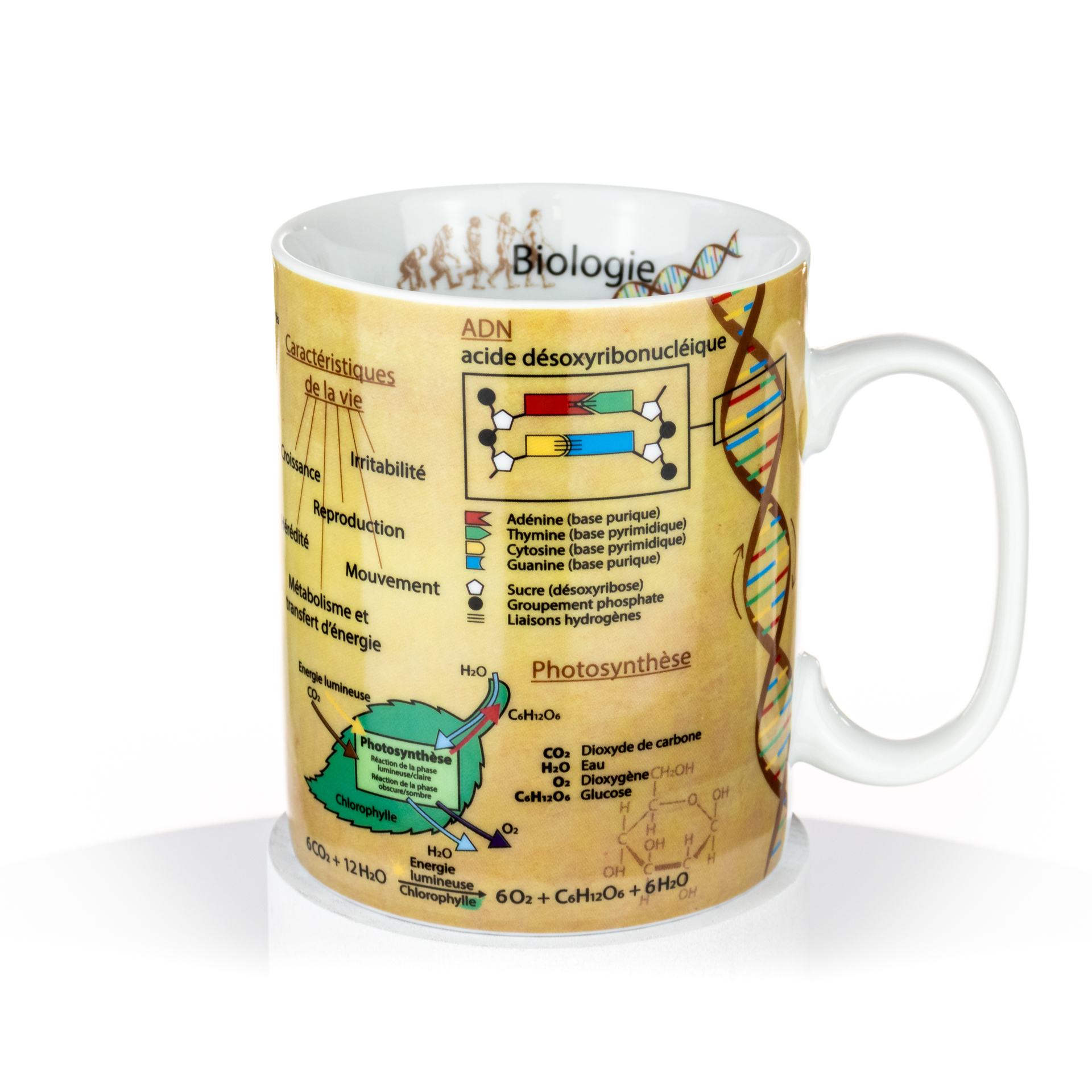Porzellantasse "Biologie"