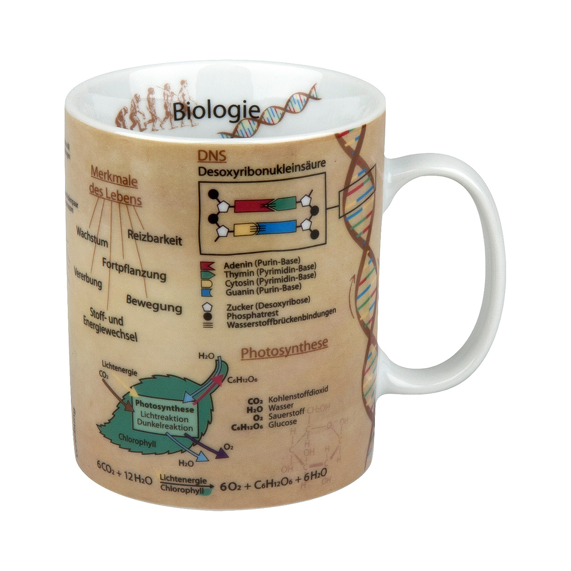 Porzellantasse "Biologie"