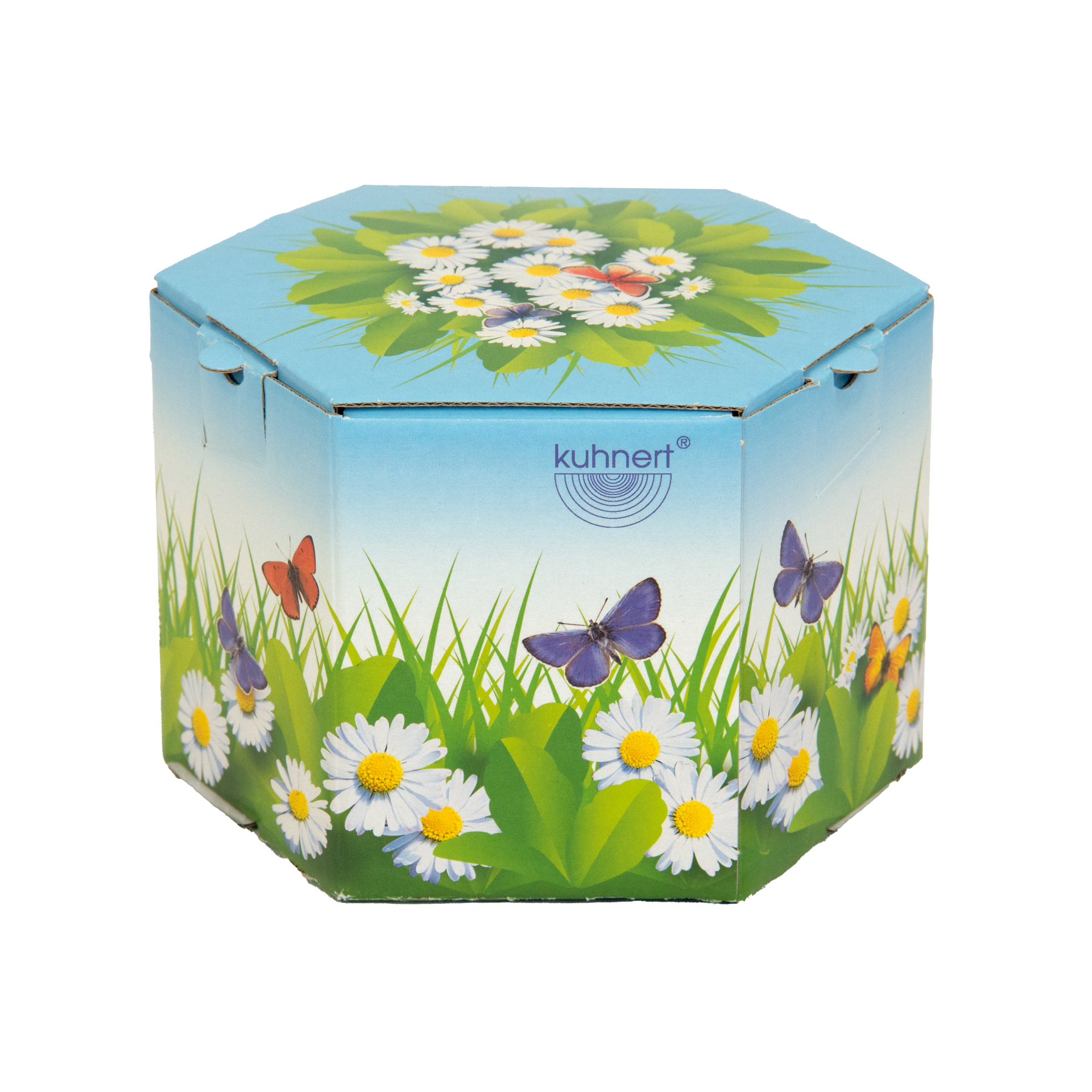 Stupsi Hase mit Schubkarre Stupsi Hase mit Schubkarre