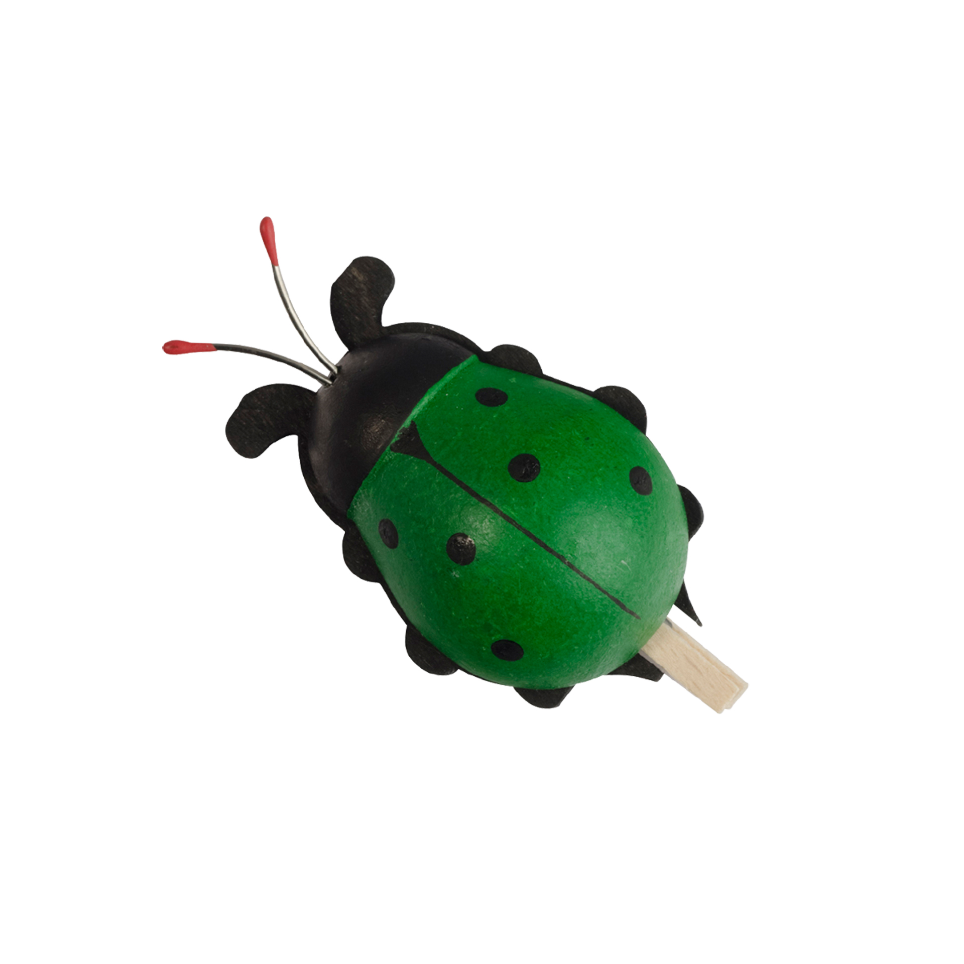 Baumclipser Käfer, grün 